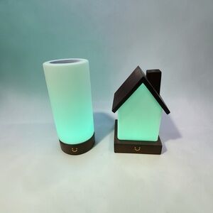 Wood-Accent Mint LED Table Lamp and House Night Light Set